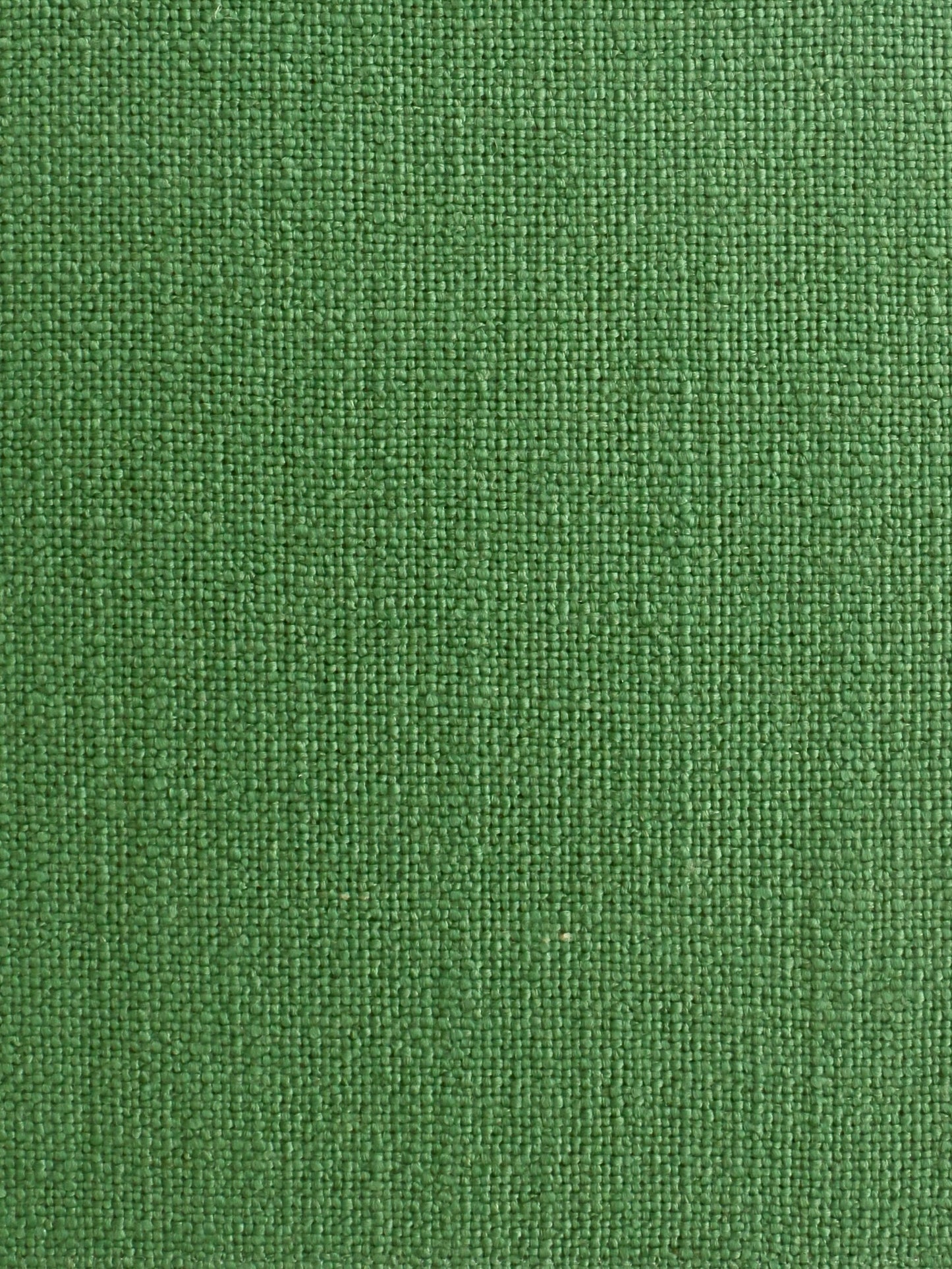 Virida Olive Grey Wool Curtain