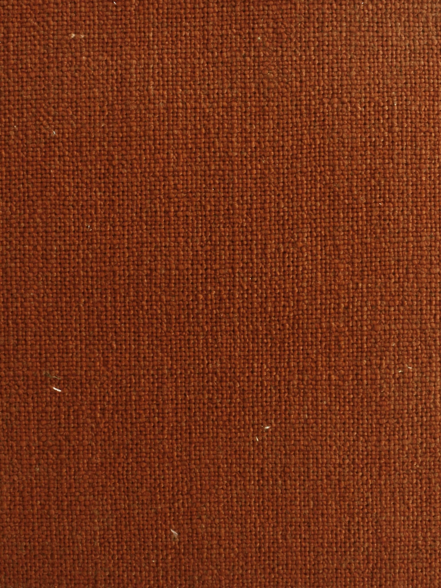 Terralin™ Saffron Wool Curtain