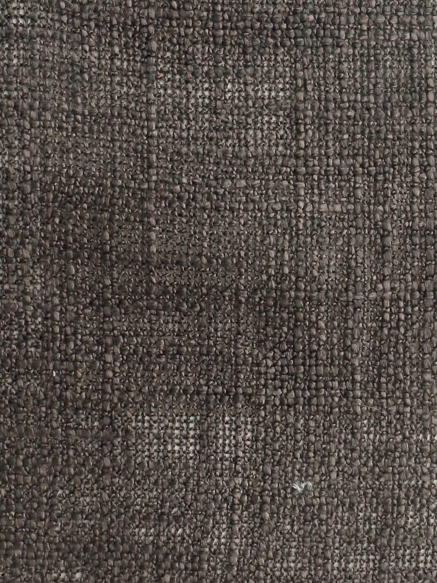 Earthtone Neutrals Sheer Fabric
