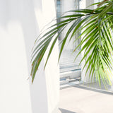 SunGuard Sheer – Free Sample