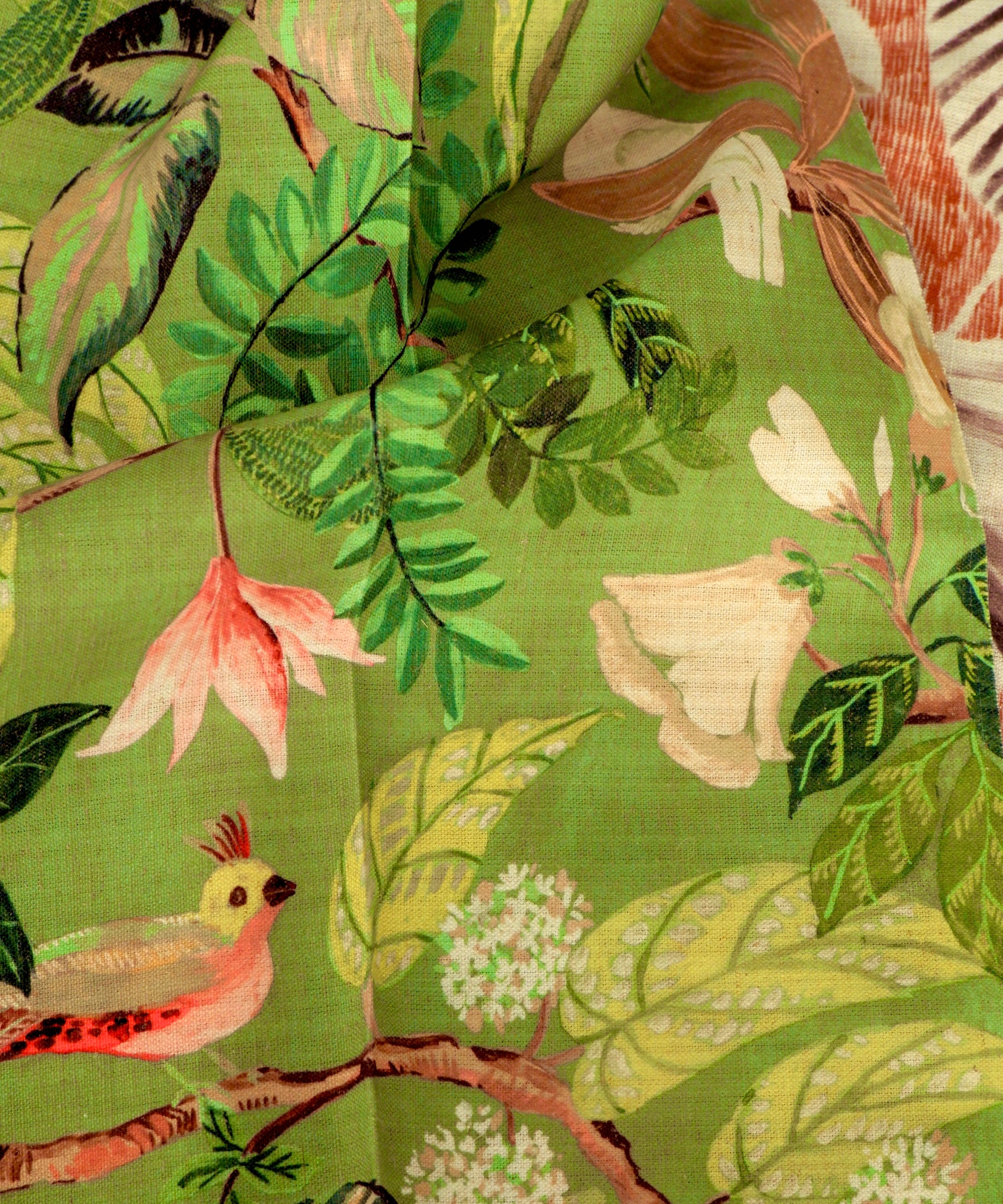 Aurelia Songbird Curtain Fabric Collection