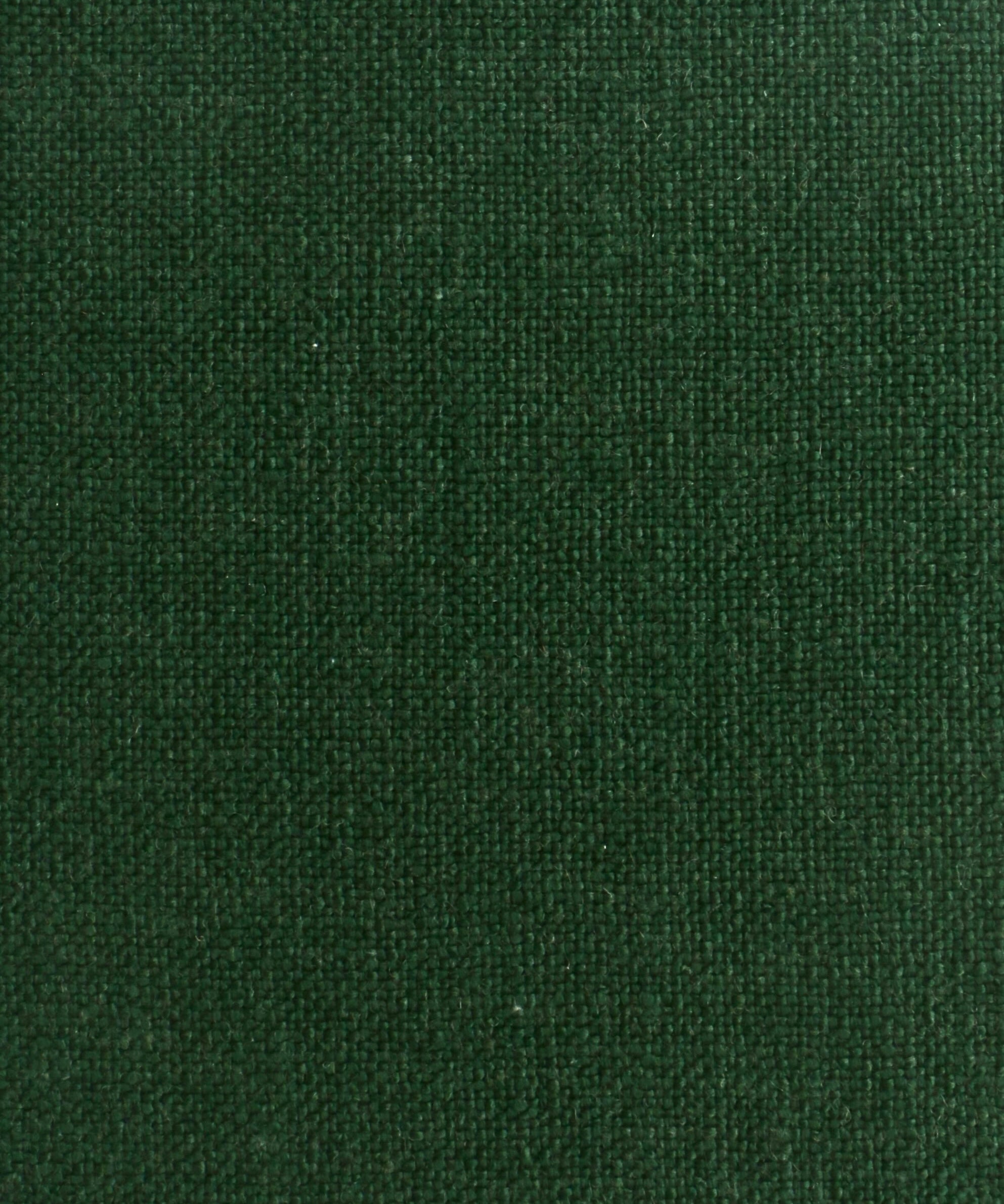 Virida Moss Green Wool Curtain