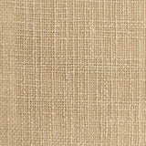Aeriwave Neutrals Sheer Fabric